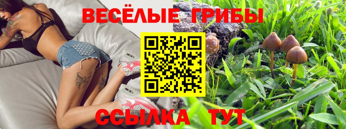 Галлюциногенные грибы мицелий  Вход с VPN  Качканар  Галлюциногенные грибы Cubensis 
